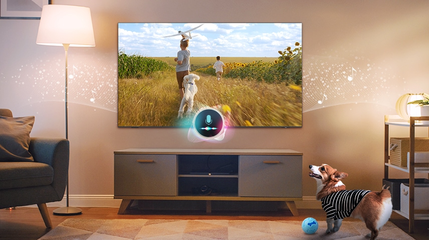 A dog barks in a living room. A microphone connected to the TV detects the noise. In response to the noise, the TV plays a scene of two boys and a puppy running along a sunflower field to soothe the barking dog.